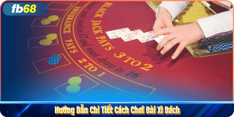 Hướng Dẫn Chi Tiết Cách Chơi Bài Xì Dách